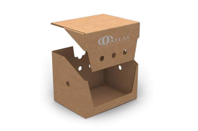 Best Food packaging box example