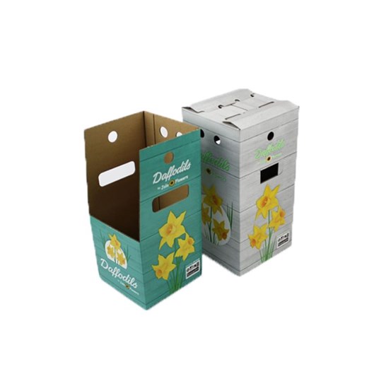 Flower and plant packaging sample box