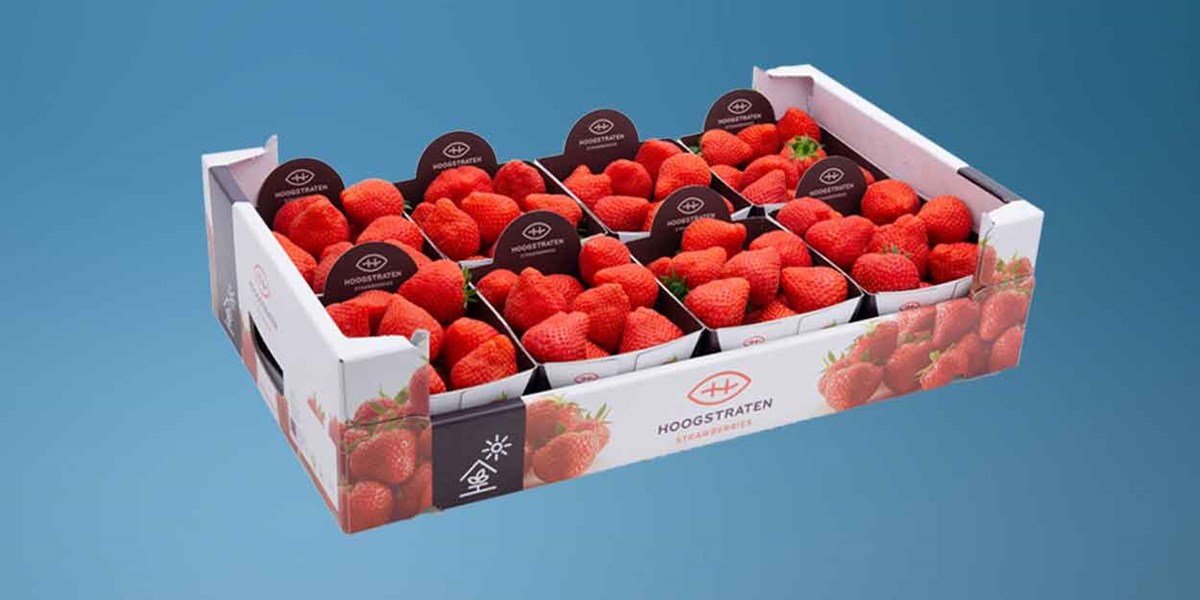 草莓篮，草莓篮