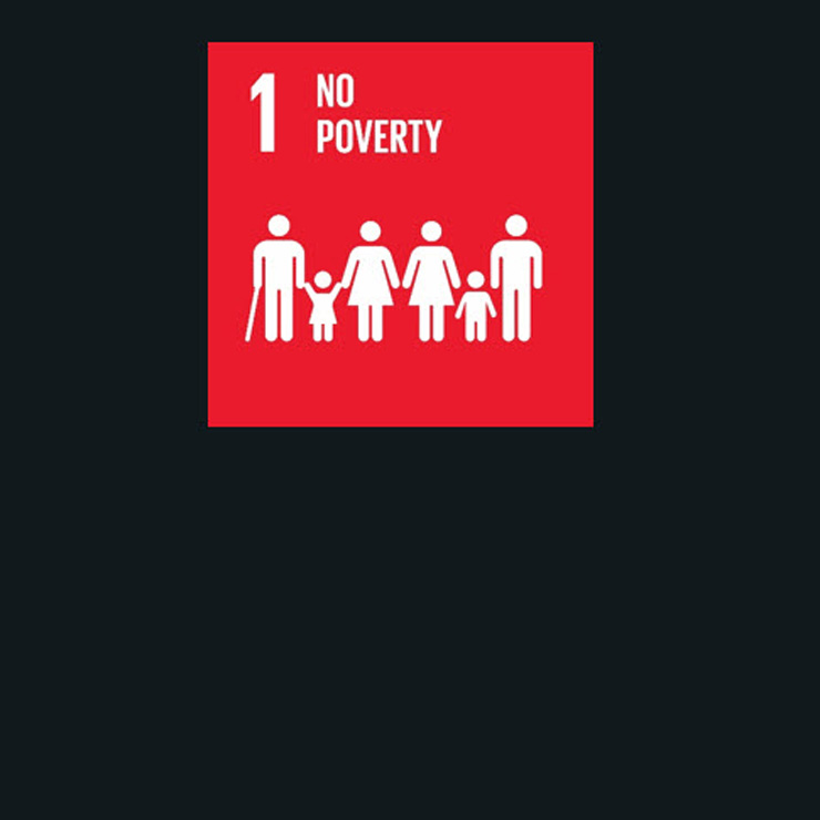 No Poverty