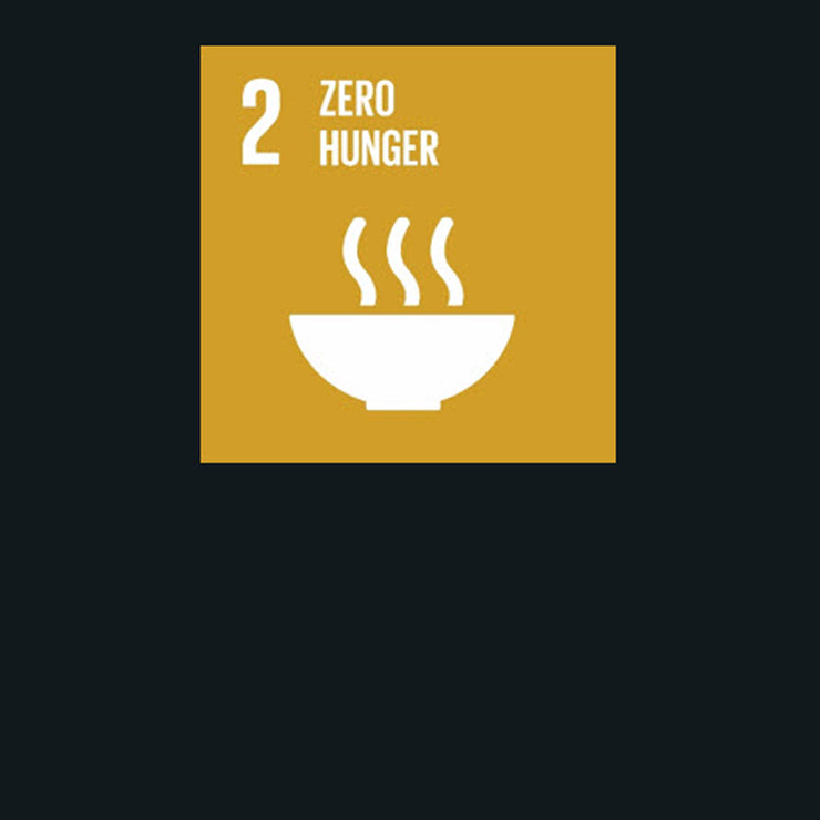 zero hunger