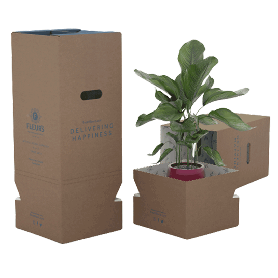 click and collect, Blumenverpackungen