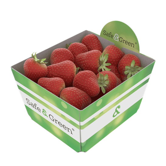Barquette en carton carré pour petits fruits et légumes comme les fraises