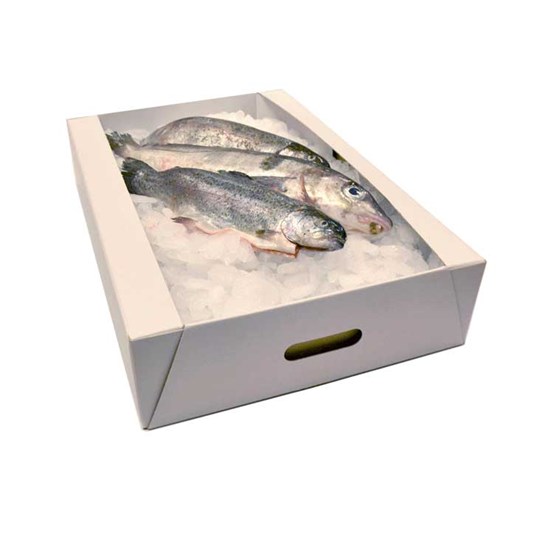 Plateau en carton hydrophobe pour du poisson surgelé et conservé dans des pins de glace 