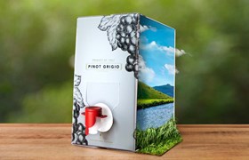 Emballage en carton ondulé pour une bouteille de vin avec une impression extérieure de nature