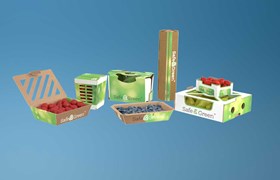 Présentation de plusieurs emballages Safe&Green pour petits fruits et légumes