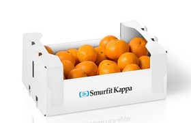 Emballage en carton ondulé pour petits fruits 