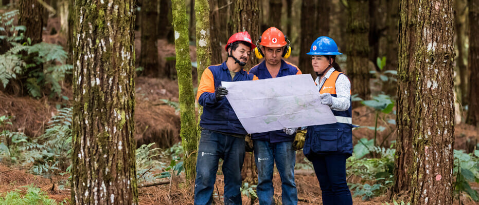 Ingenieros forestales en plantación comercial de Smurfit Kappa Colombia
