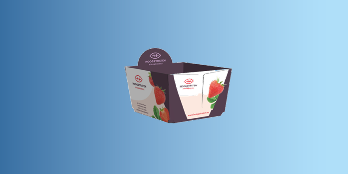 Hoogstraten Erdbeerverpackung