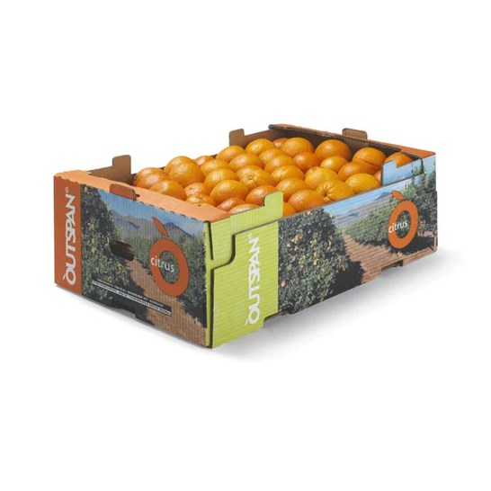 Frugt og grønt kasse - P84-system