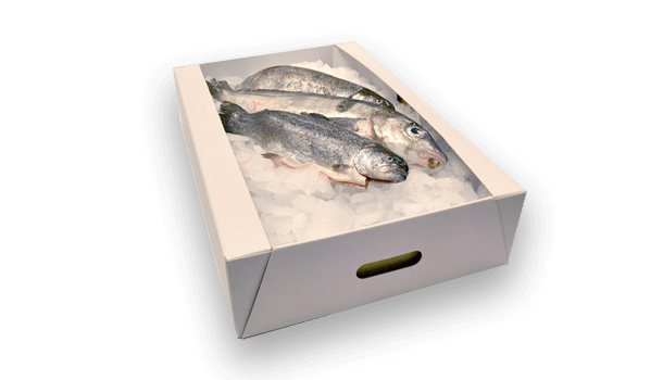 Embalaje de cartón compacto, Envase para pescado, embalaje para pescado