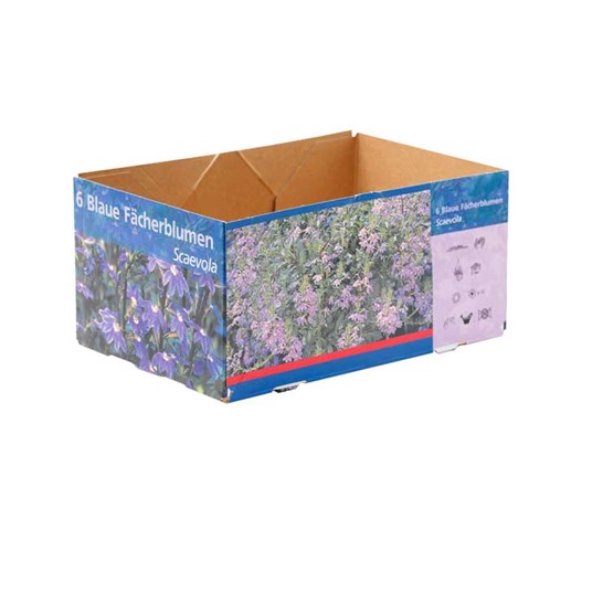 Cajas de cartón para flores