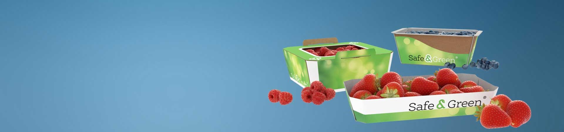 Emballage en carton ondulé recyclable Safe&Green pour petits fruits 