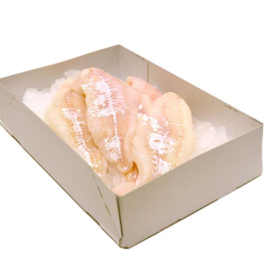 Barquette avec quatres coins collés en carton hydrophobe pour du poisson conservé dans des pins de glace 