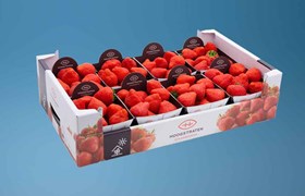 Strawberry Punnets, Punnets for strawberries