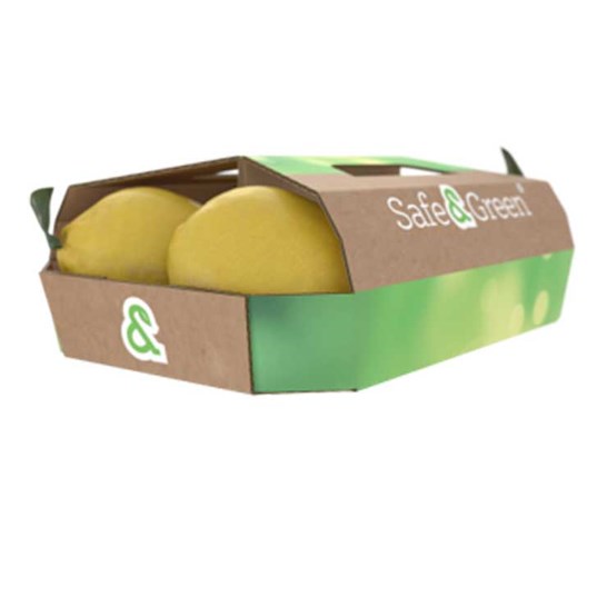 carrypack-Punnet Lemons