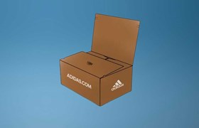 eCommerce Packaging, Shoe Box