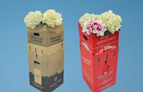 Flower packaging, Packaging for flowers