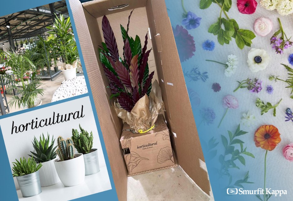 Imballo Smurfit Kappa per eCommerce fiori e piante