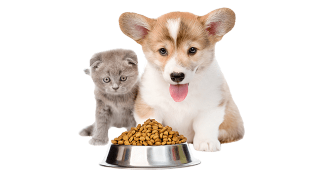 Packaging per cibo per animali