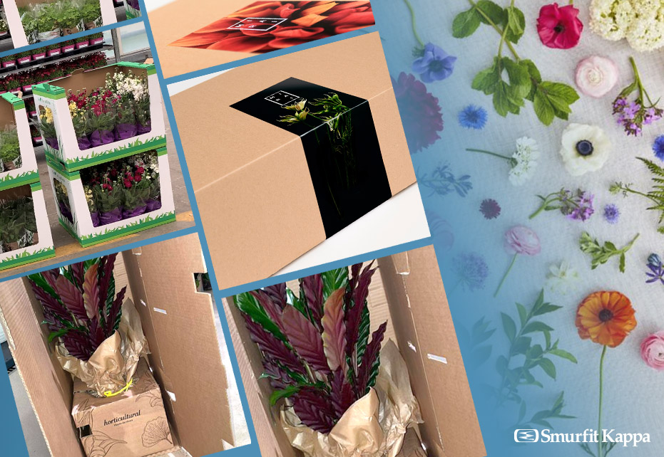 Soluzioni di imballaggio per fiori realizzate da Smurfit Kappa Italia