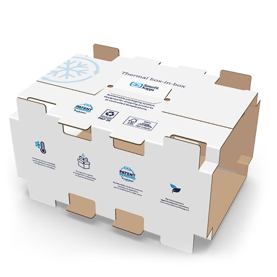 interno Thermal Box-in-Box sistema di imballaggio isolante