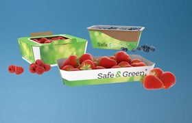 Présentation d'emballage en carton ondulé Safe&Green pour petits fruits  