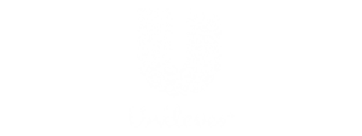 Unilever diap
