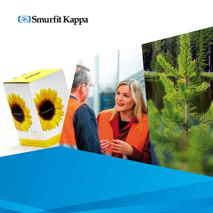 Raport Zrównoważonego Rozwoju Smurfit Kappa 2012