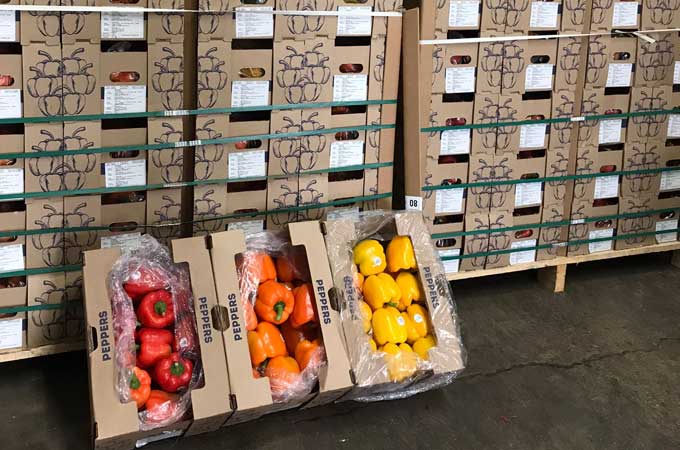 Vegetable Packaging, Fruit Packaging, Fresh Food Packaging