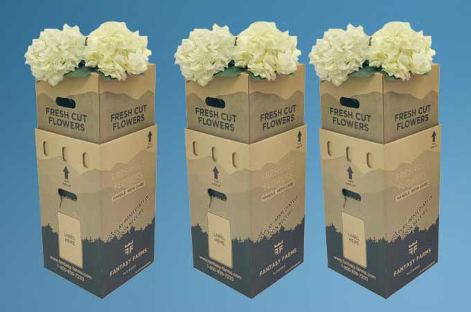 Fantasy Flowers Packaging