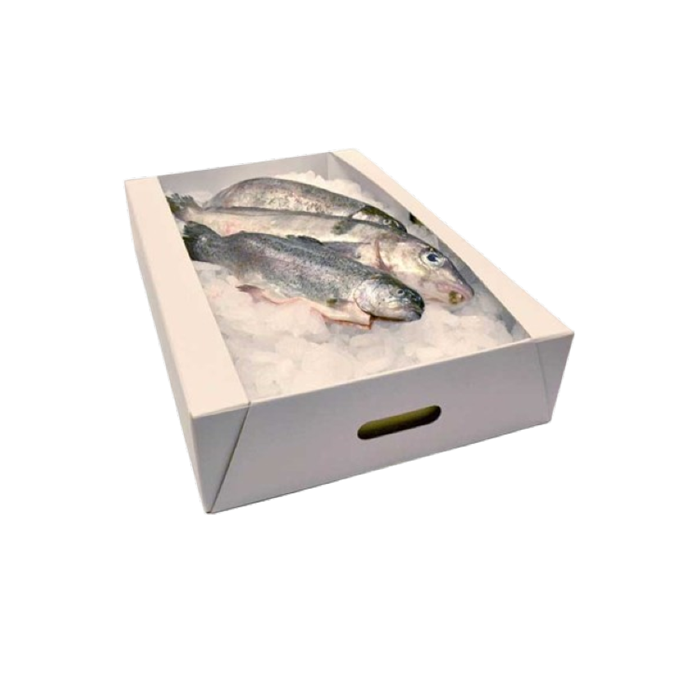 Fish packaging box