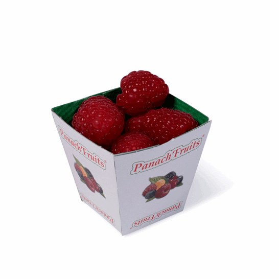 Fruit Punnets, Berry Punnets