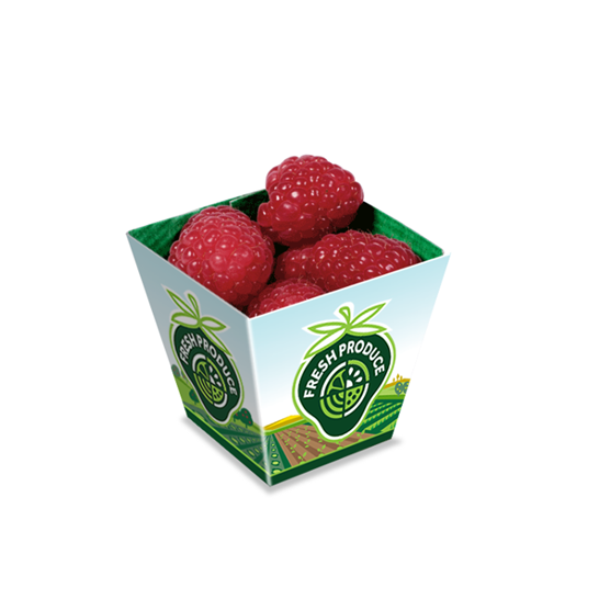 Strawberry box packaging