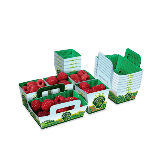 Strawberry packaging box