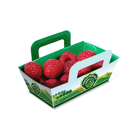 Strawberry punnet packaging box with handle