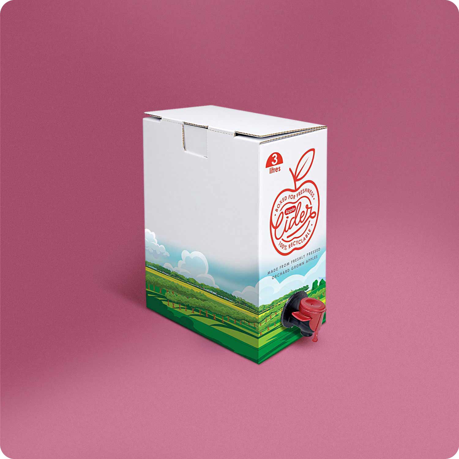 Sustainable BaginBox solutions accessible to all businesses