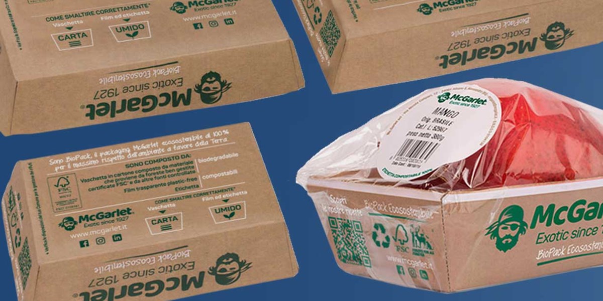 Plateau en carton de forme - Packea packaging market