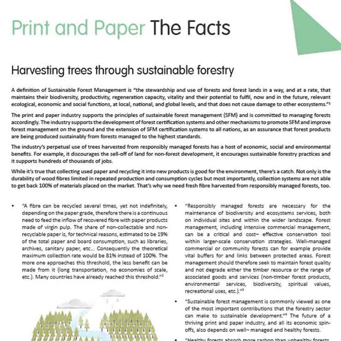 Harvesting-trees-through-sustainable-forestry